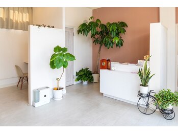 ラシル(Lasyl)/1.ご来店