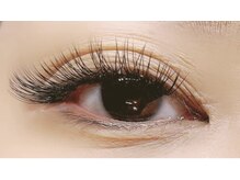 アローマ(arom)/Wフラットラッシュ140束