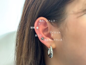 ティンク(Tink)/耳ツボ　トレンド