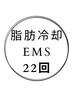 【大満足Wコース◇22回！】お好きな箇所組み合わせ＋EMS 257,000円