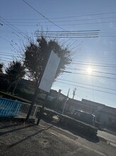 ローリエ/免疫力アップ！