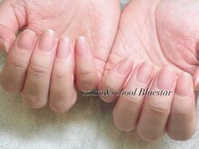 ブルースター(Bluestar)