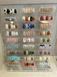 定額ルミエールコース¥6490