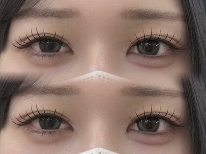 プカ(Puka)の写真