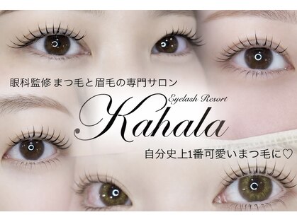 アイラッシュリゾート カハラ 国分寺店の写真