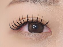 シエナ(ciena)/《バインドロック 140束》