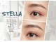 ステラ(STELLA)の写真