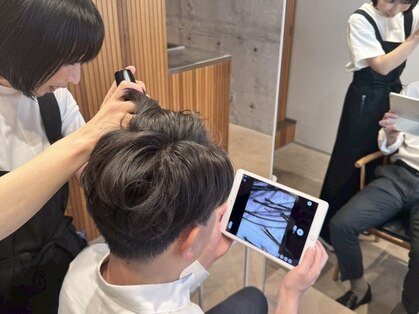 ベリル(BERYL)の写真