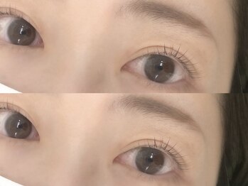 オリオン/パリジェンヌ