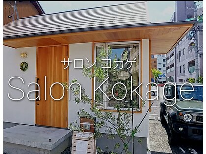 コカゲ(Kokage)の写真