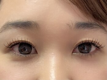 ファルコ(Falco)/フラットラッシュ１２０本LED