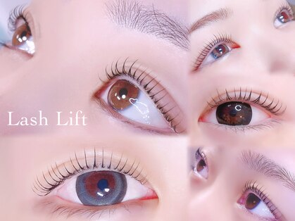 ティノ(Tino)の写真