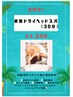 【夏限定！】炭酸ドライヘッドスパ　¥4,000