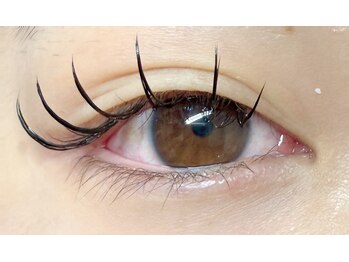 ローランリム(LORAN Lim)/LEDフラットラッシュ 120本