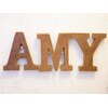 アイラッシュ エイミー(eyelash Amy)ロゴ