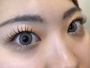 デフィ(Defi)/フラットラッシュ　上下160本