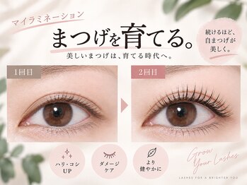 リッシュ 八王子(Lish)の写真/【まつ毛を太くするまつげパーマ】マイラミネーションでまつ毛を太く美しく♪存在感のある目元に導く！