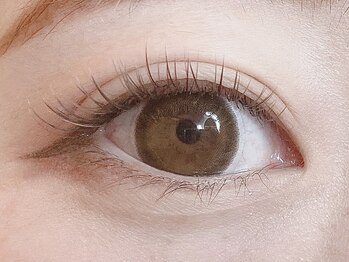 ローラント(LAURENT)/カラーフラットラッシュ 150本