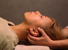 パピヨン(papillon)