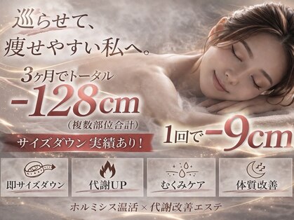 キララ(Kirara)の写真