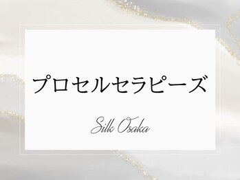 シルクドリバー 大阪店(Silk de River)/プロセルセラピーズ
