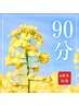 【祝！4周年記念】90分コース♪8,000円