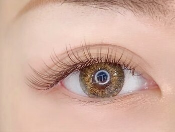 アリータ(ALITA)/フラットブラウン系