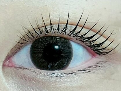 ムーン(Moon)の写真