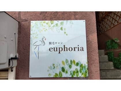 ユーフォリア(euphoria)の写真