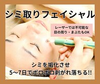 イロドリ(irodori)