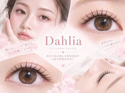 ダリア(DAHLIA)の写真