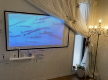 カリプソ(Calypso)/店内プロジェクターリゾート気分