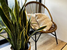 アルモワーズ(armoise)/