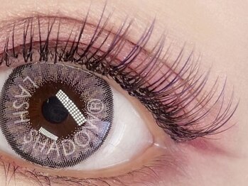 ネリネ(Nerine)/ヴィンテージネイビッシュ