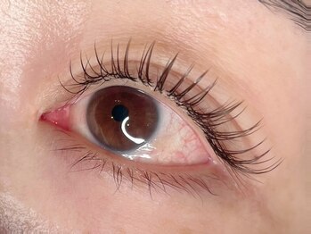 ラシク ベル(Lashiku Belle)/フラットラッシュ120本