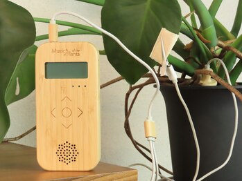 MORINO-NE[ハーブサウナ/ドライヘッドスパ/リフレクソロジー/もみほぐし]/こだわり