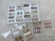 サロン ルート(SALON ROOT)の写真/お得な定額デザイン