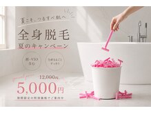 ハル ハロ(halu halo)