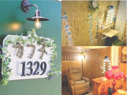 カフネ1329の写真