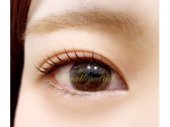 スワロウテイル(Swallowtail)/似合わせまつげパーマ/マツパ