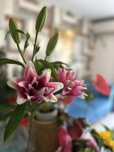 ポラリス(Polaris)/