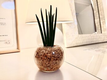 テールボーテ(Terre beaute)/ご予約時『ご要望・ご相談』欄に