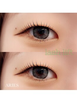 アリエス(ARIES)/まぶたをさけたデザイン