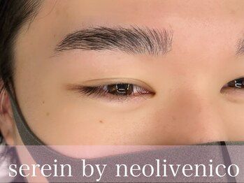 スラン 大井町(serein)/美眉Wax