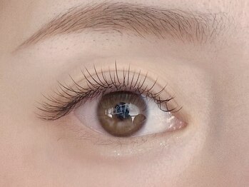 アリータ(ALITA)/フラットマットラッシュ100本