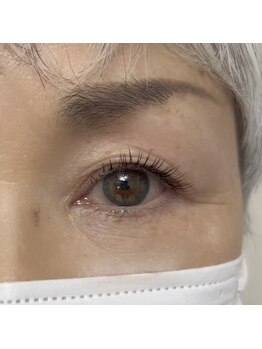 ファルコ(Falco)/フラットラッシュ140＆ヘルシー