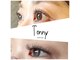 トニー(Tonny)の写真