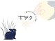 キヅクの写真