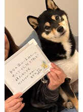 ベイビーズブレス(Baby's Breath)/3月のお客様の声！