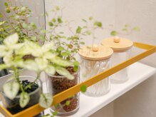 リロット(relot)/店内の植物たち♪